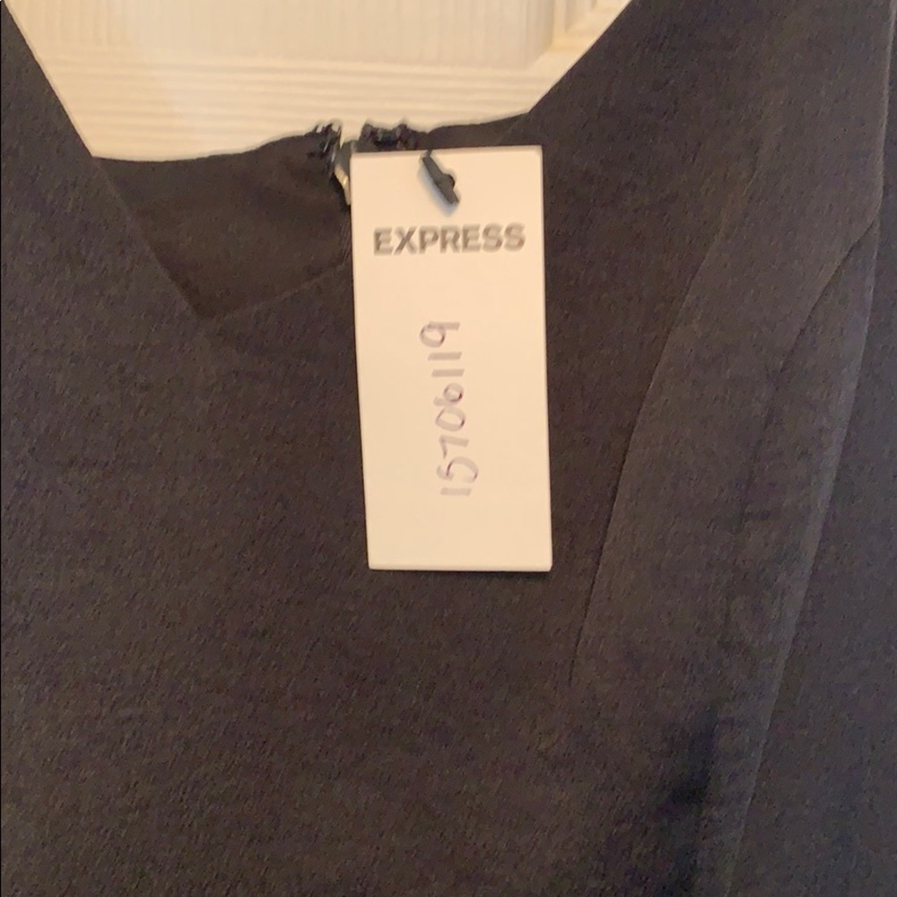 Express Dress - Picture 4 of 5